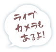 ライブカメラもあるよ！
