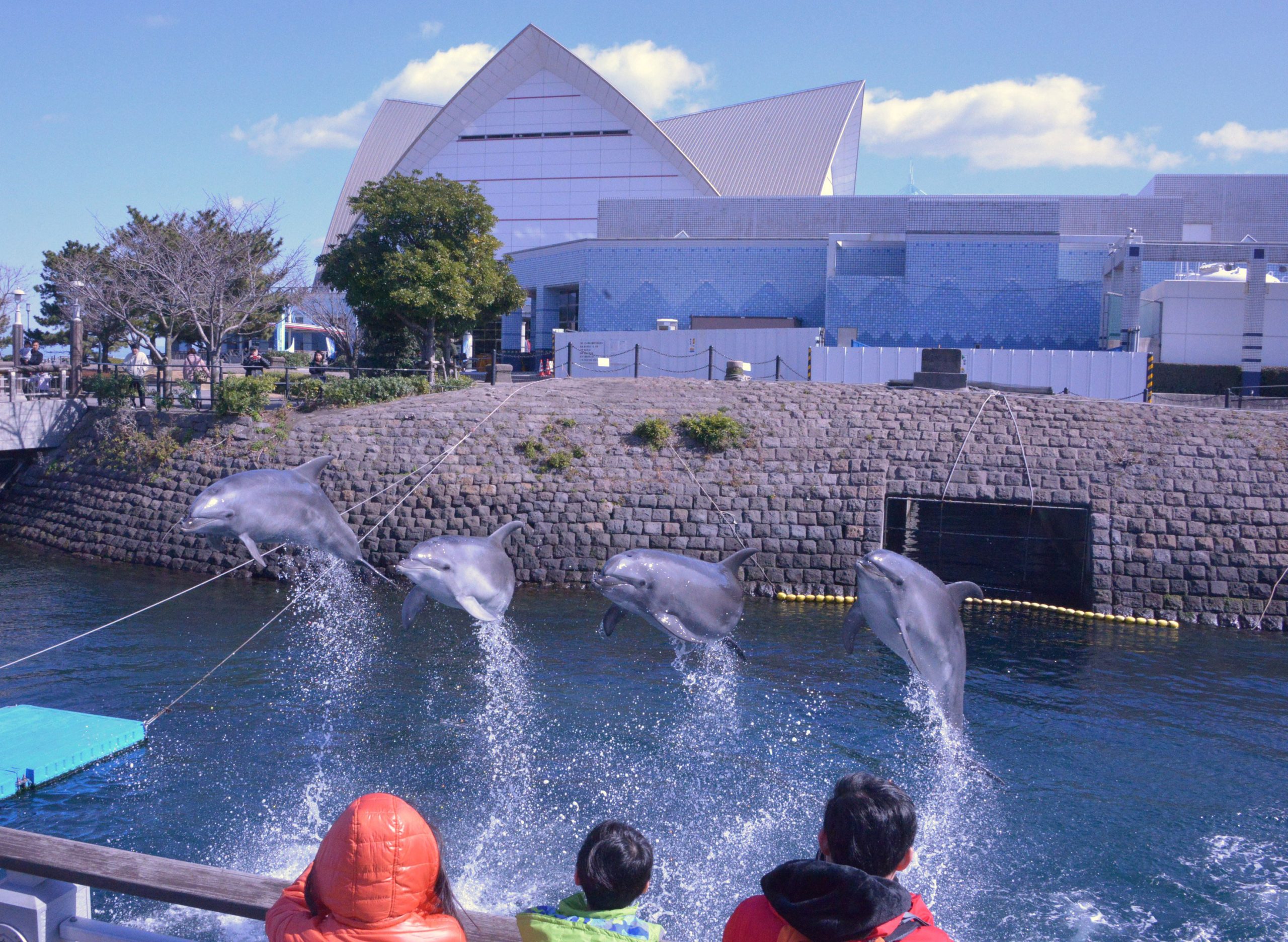 「鹿儿岛水族馆」の画像検索結果