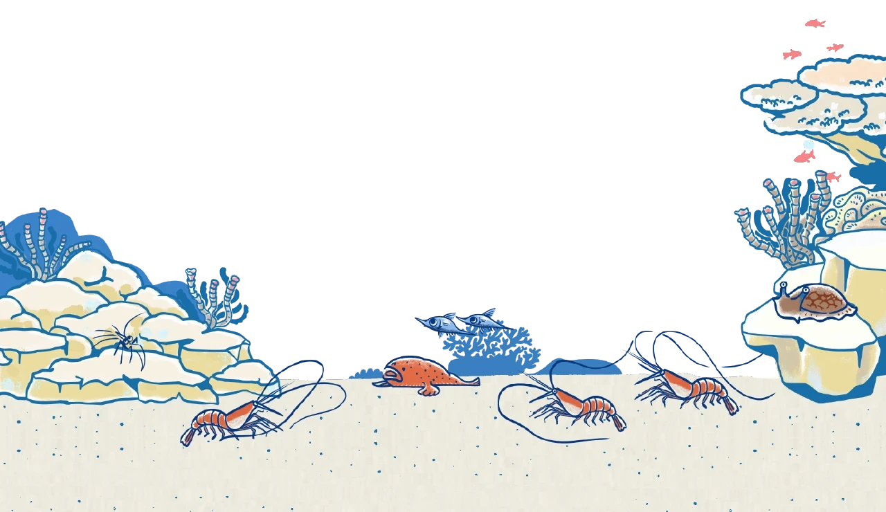 海底のフッター