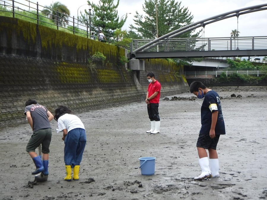 祇園之洲と稲荷川河口の干潟